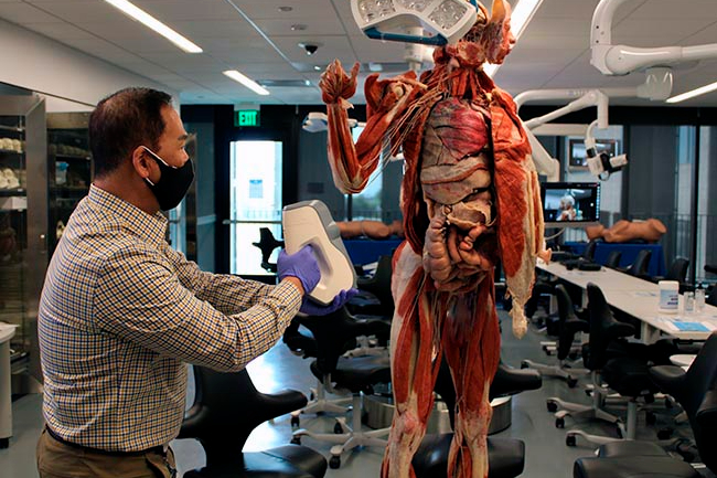 man scanning cadaver