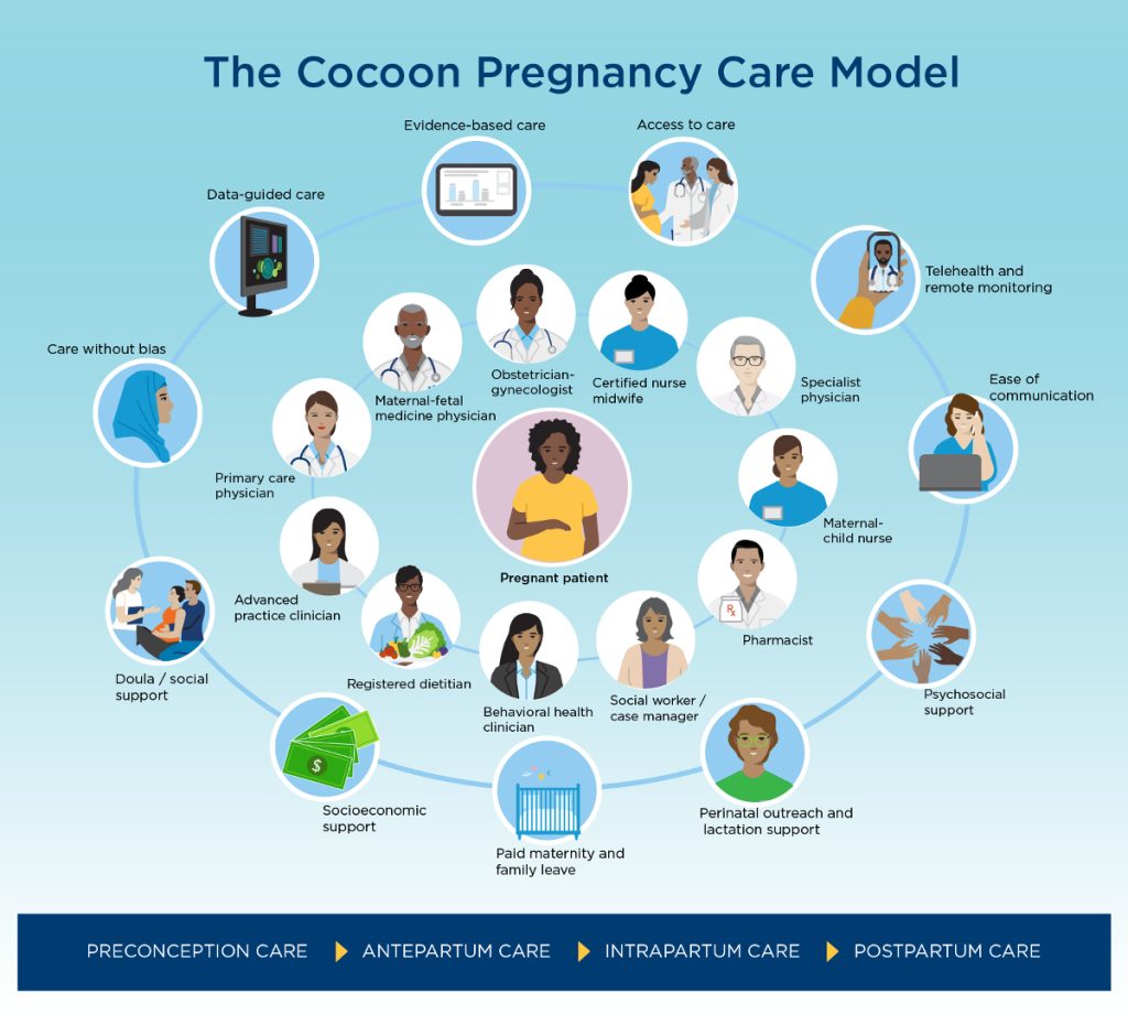 Cocoon Pregnancy Care Model involves participation of professionals from many clinical and non-clinical fields.